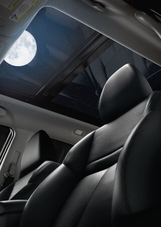 Nissan Rogue Interior Nissan Rogue Interior