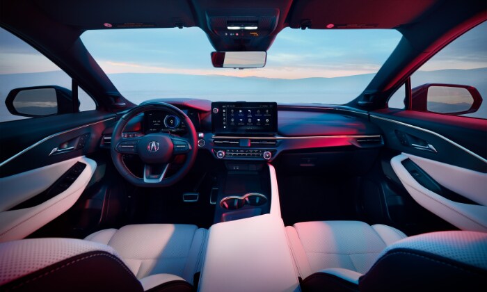 ZDX Infotainment System