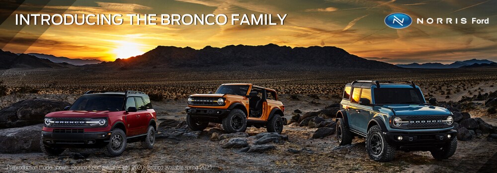 2021 Bronco Revealed.png