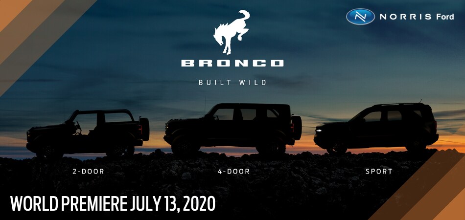 2021 Bronco Family.png