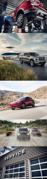 Ford Line Ups.png