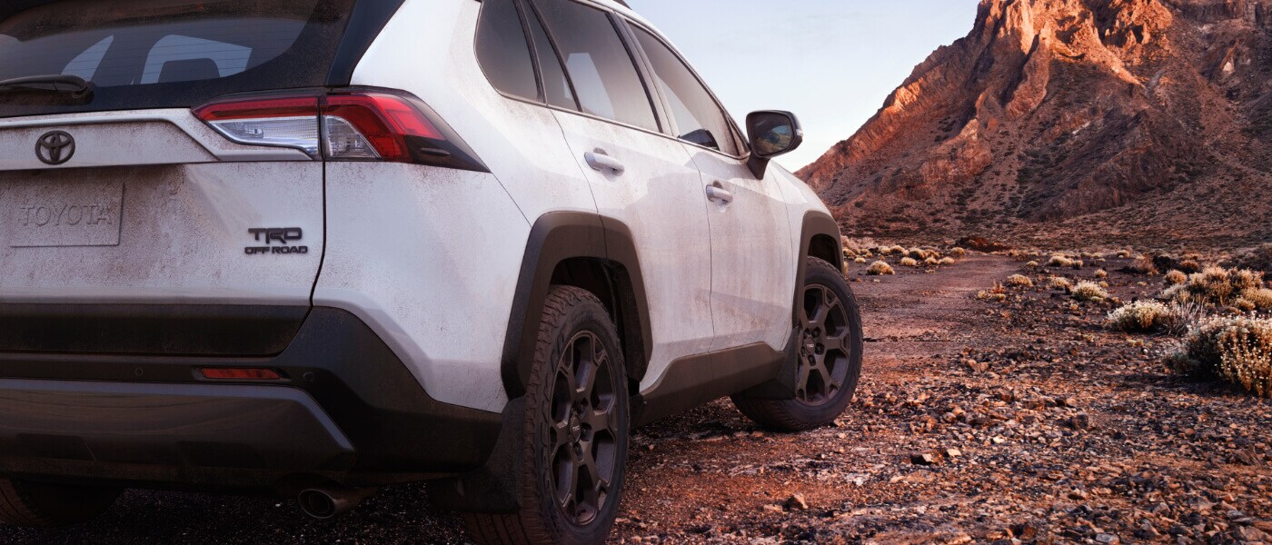 2020 Toyota RAV4 rearview