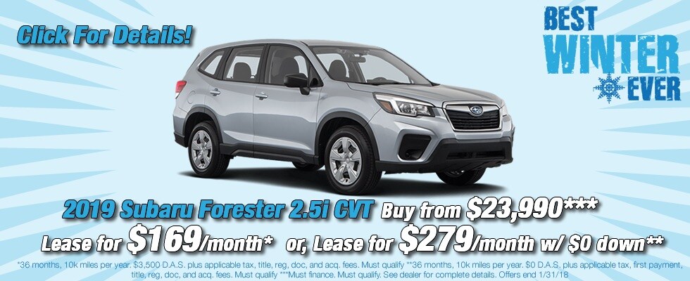 forester.jpg