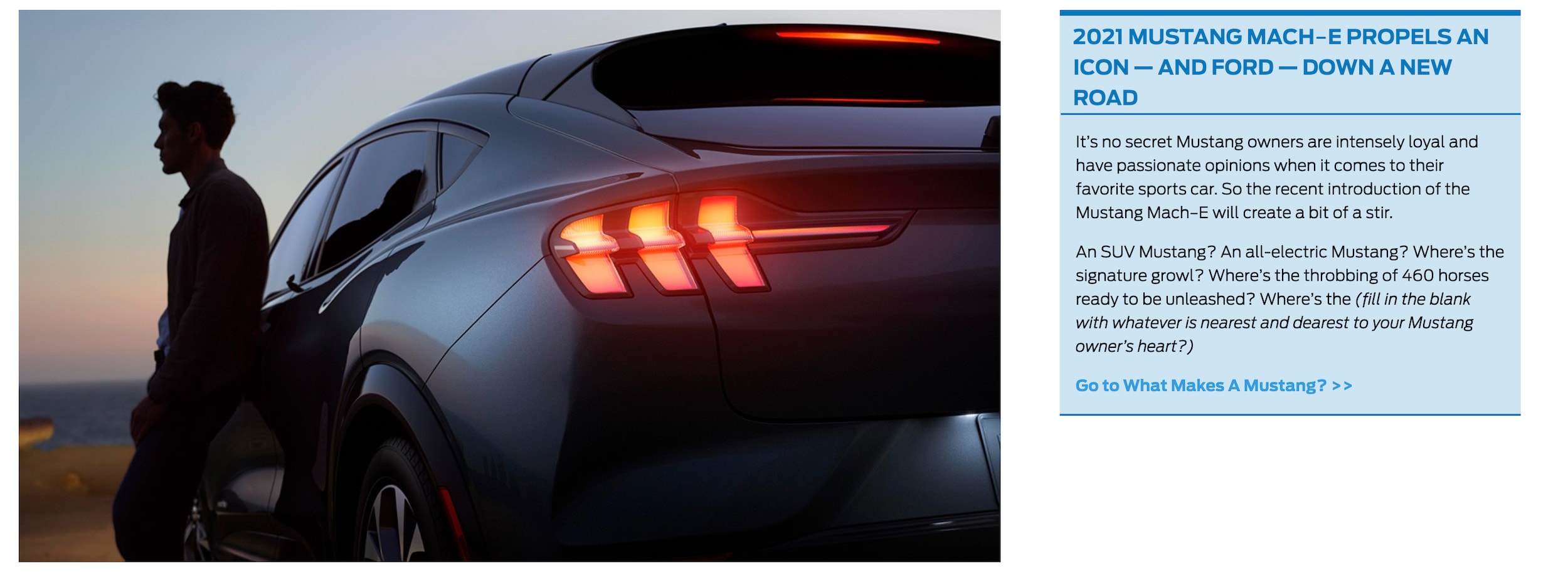 Screen Shot 2019-11-21 at 10.29.59 AM.png