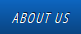 Hyundai About Us Button.png