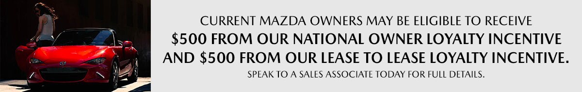 banner_maz-owners (1).jpg