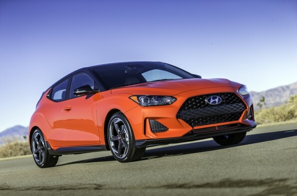 2019 Veloster