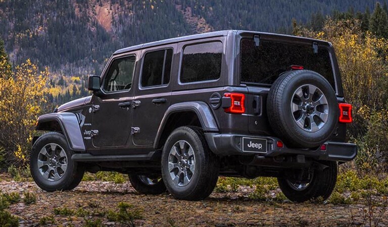 New 2019 Wrangler Tampa Bay FL
