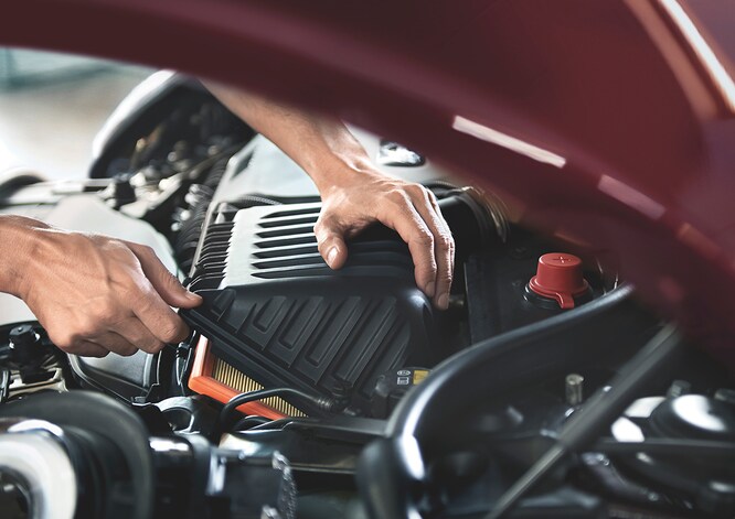 MINI-service-image-1.jpg