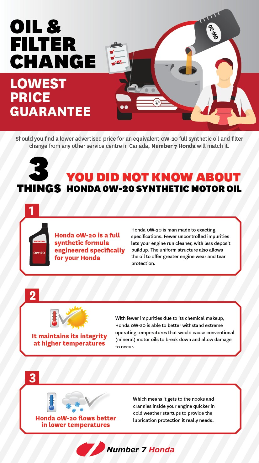 oil and filter.jpg