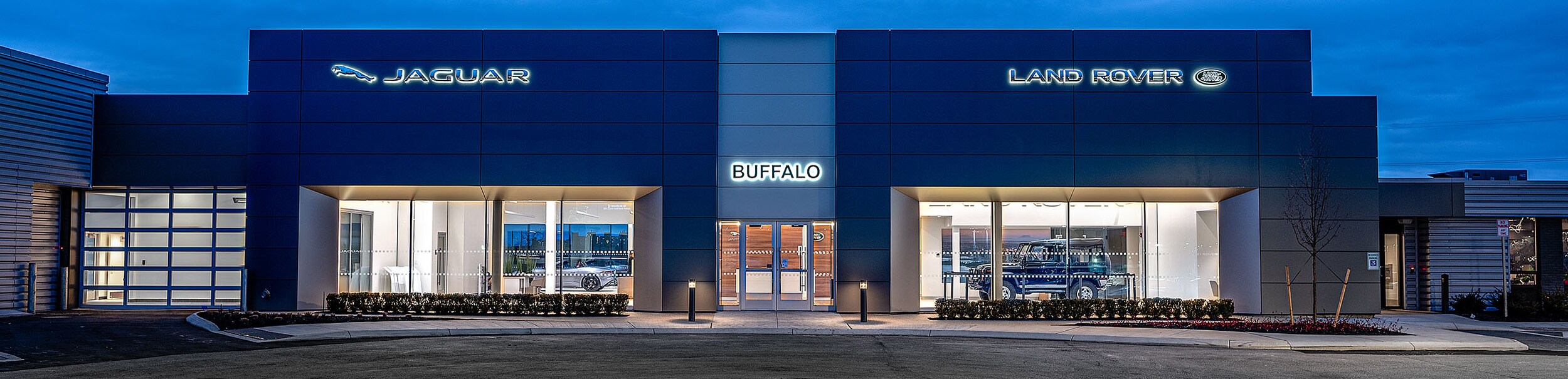 JLR Buffalo Evening Picture Cropped.jpg
