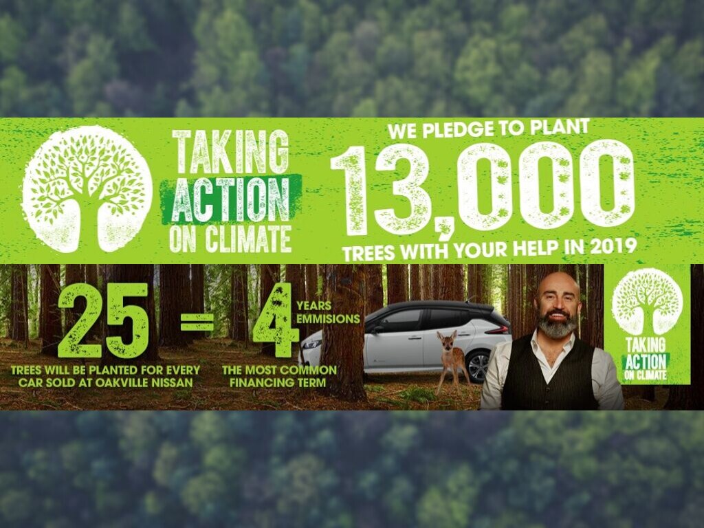 Tree Banner.png