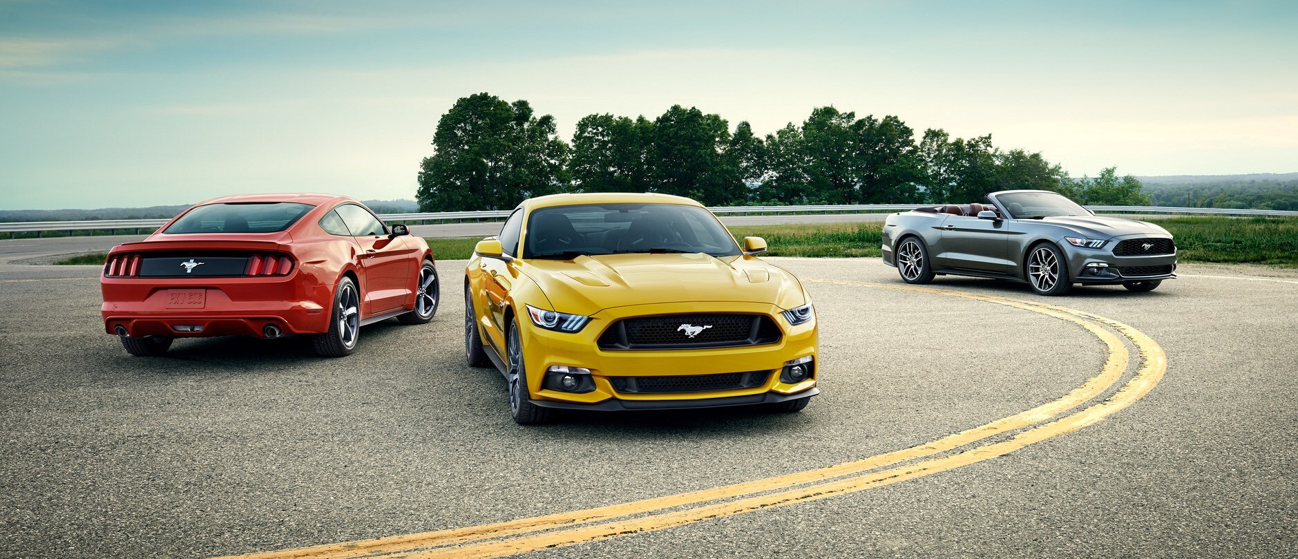 Mustangs.jpg