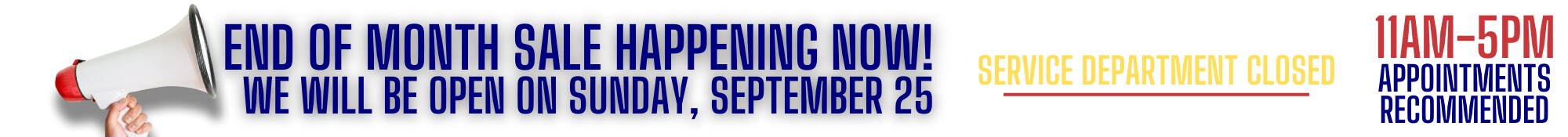 Plattner AutoGroup - FINAL Desktop Sunday Banner.png