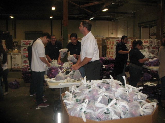 2nd harvest 2013 019.JPG