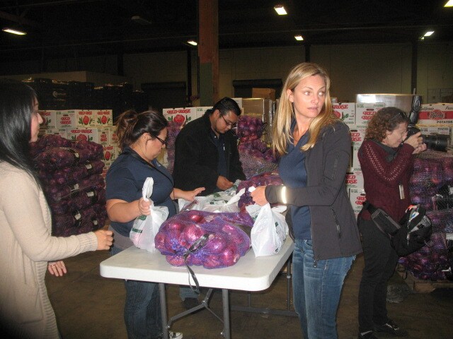 2nd harvest 2013 015.JPG