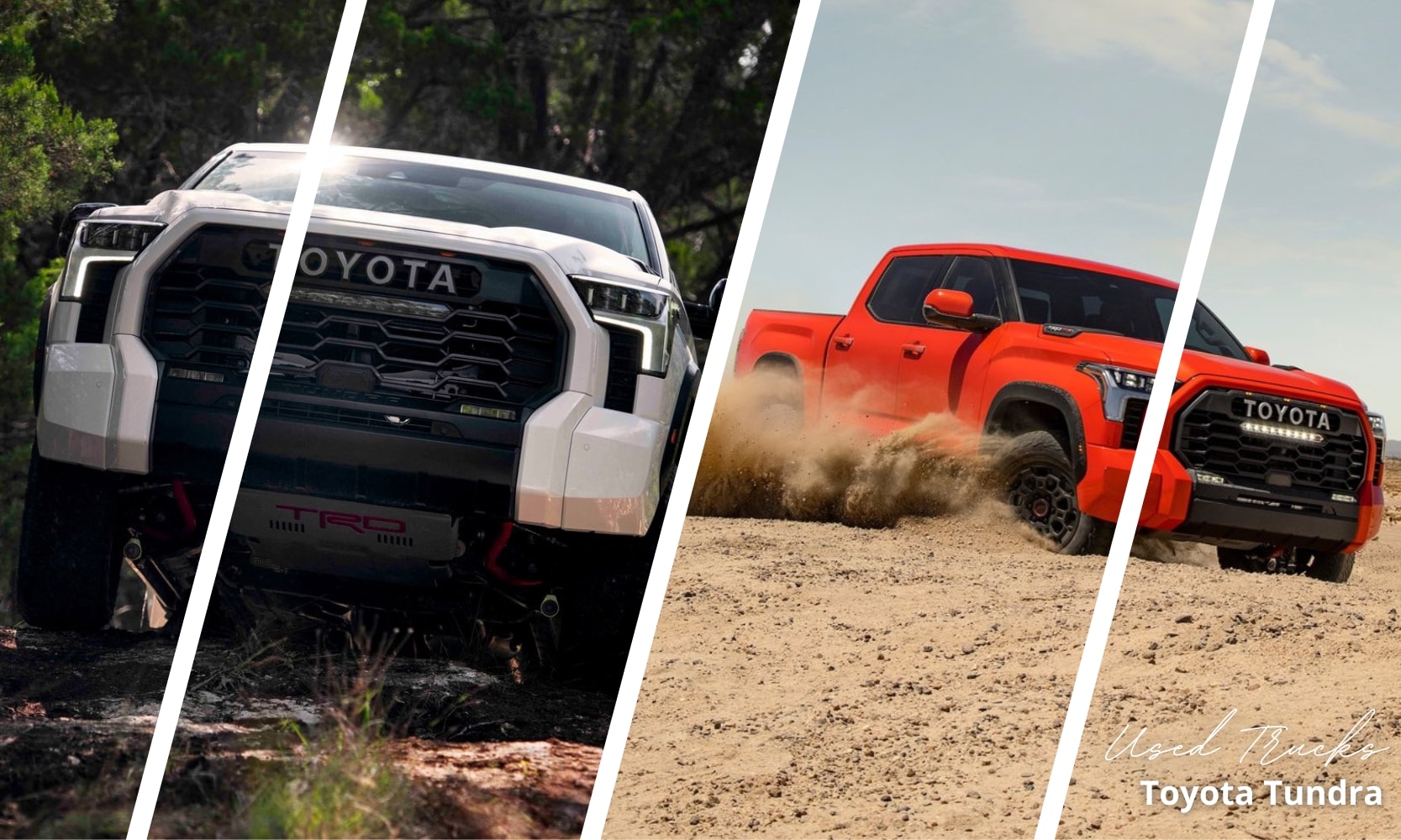 Collage image of a white used Toyota Tundra and a red used Toyota Tundra driving off-road through forests and sand dunes