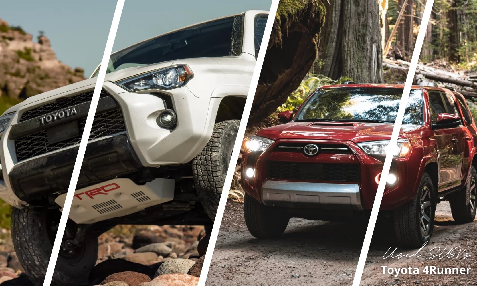 Image collage of a white used Toyota 4Runner and a red used Toyota 4Runner SUV