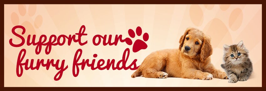 petweb header.jpg