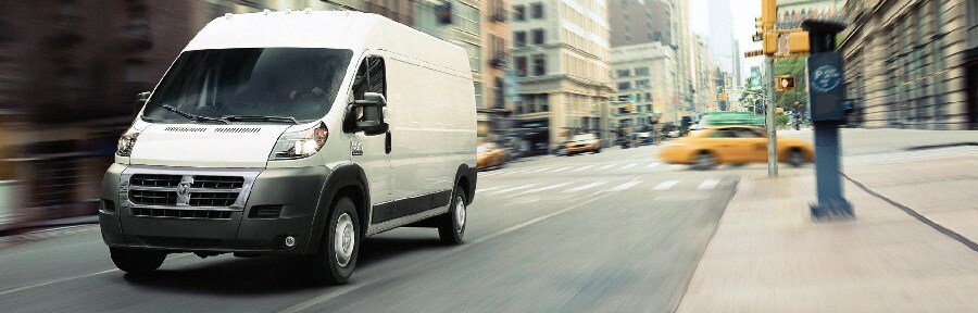 Promaster.jpg