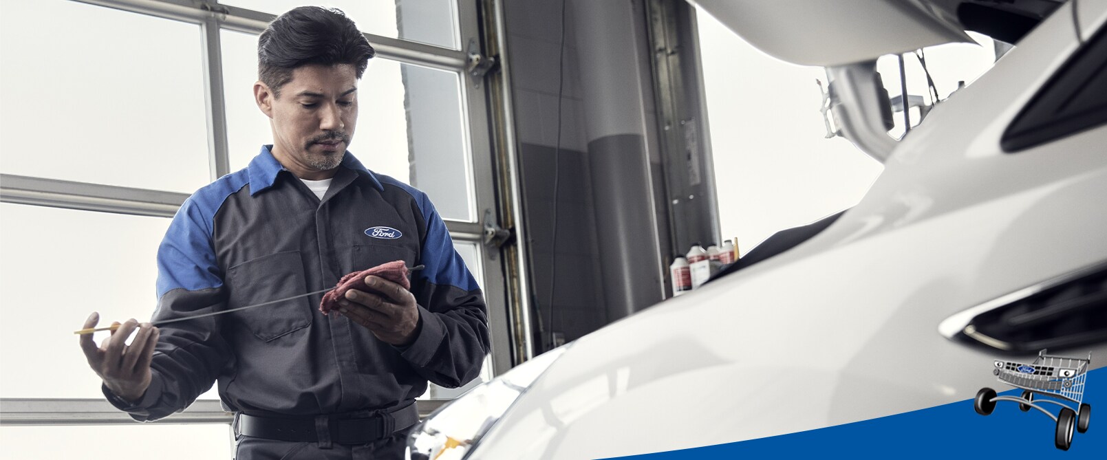 Ford Technician