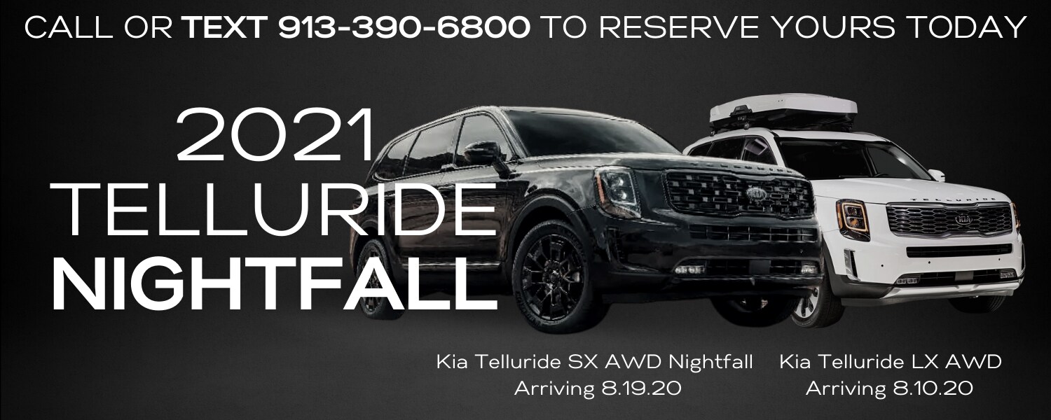 Copy of TELLURIDE NIGHTFALL.png