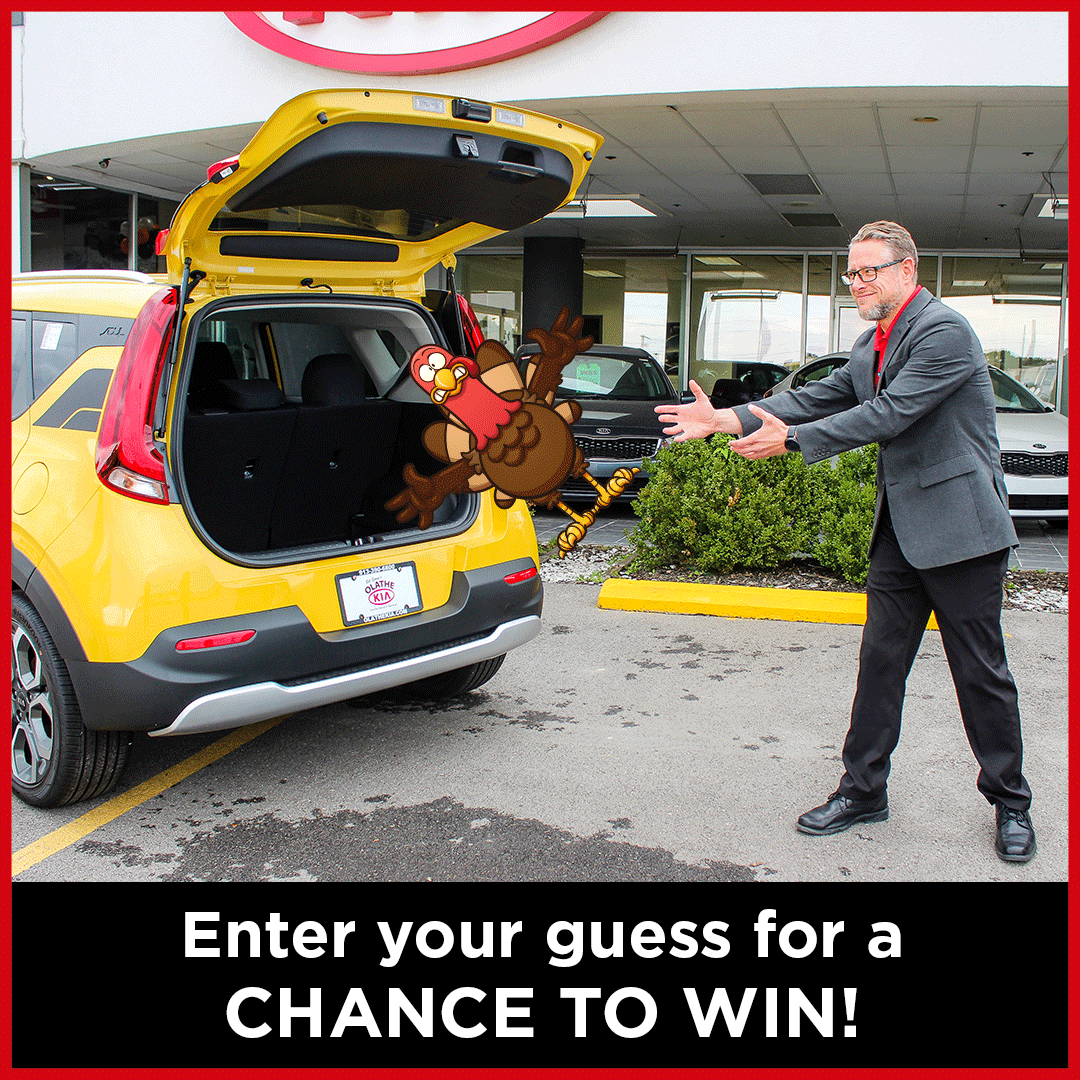 KiaSoul_TurkeyContest.gif