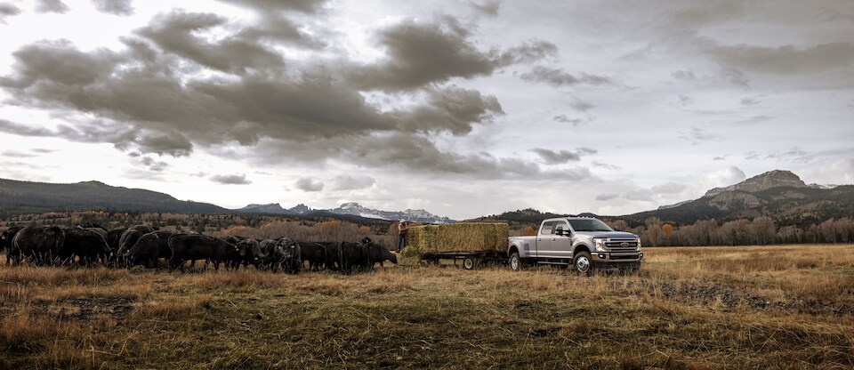 2020-Ford-F350-Lariat-SuperCrew-Truck-L01.jpeg