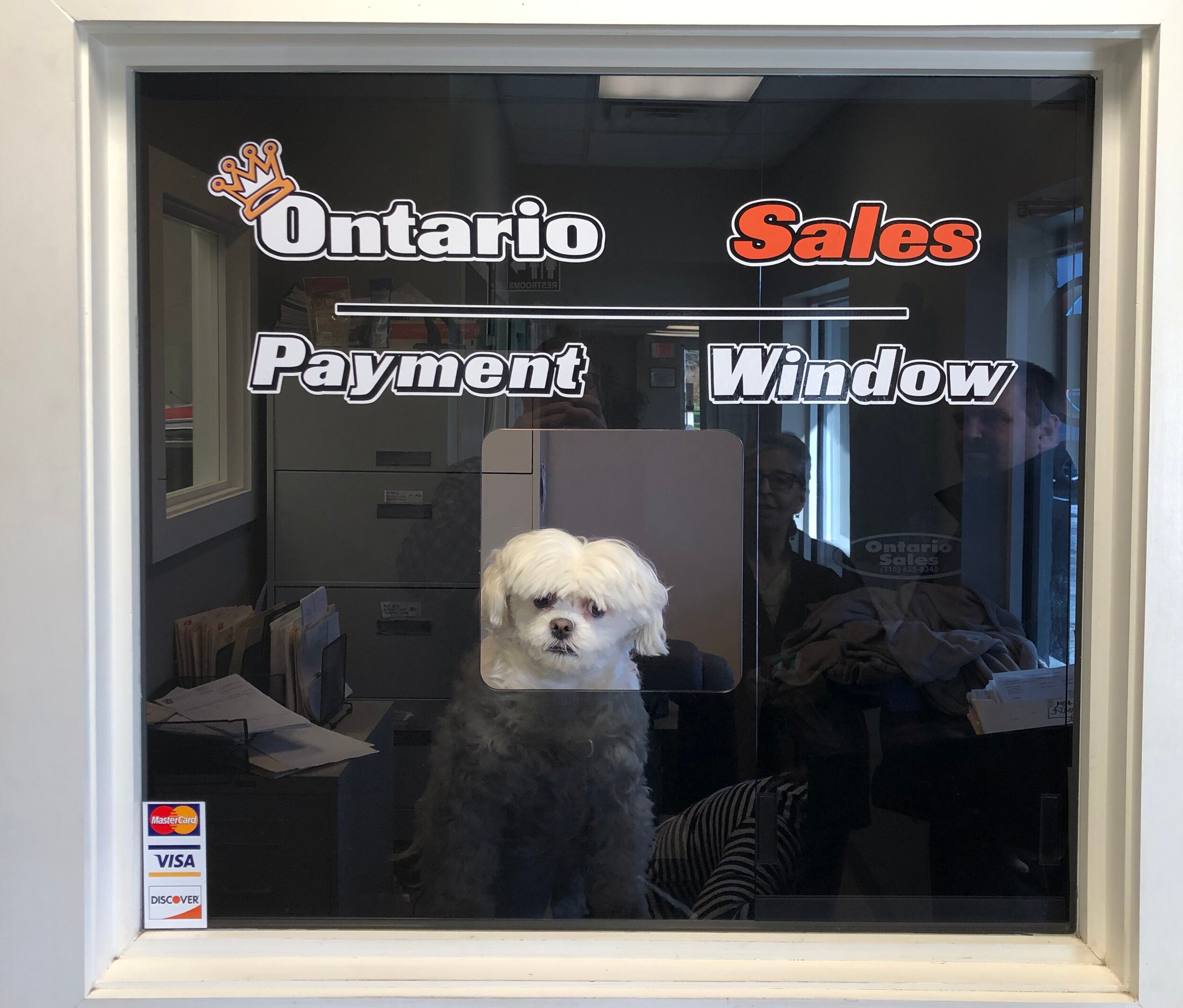 GiGi at payment window 2.jpg