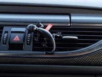 audi-gecko.jpg