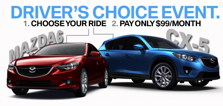 Web Page Drivers Choice.jpg