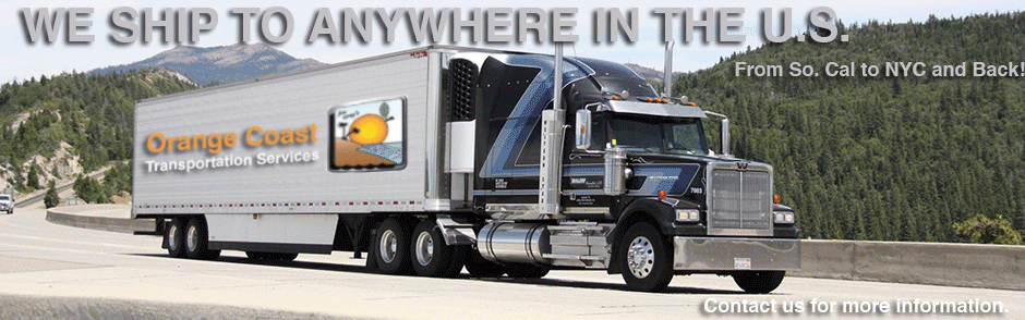 Shuttle-and-Shipping.gif