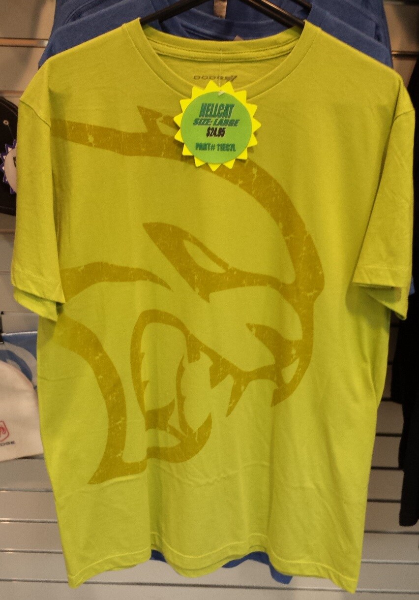 catshirt.jpg
