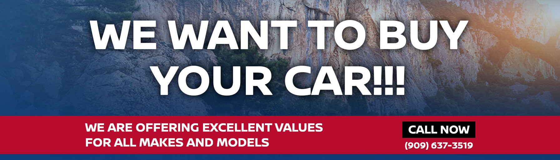 We Buy Your Car Promotion