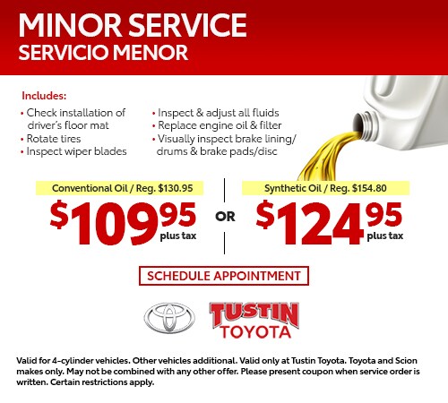 tt-service-minor-service-500x450.jpg