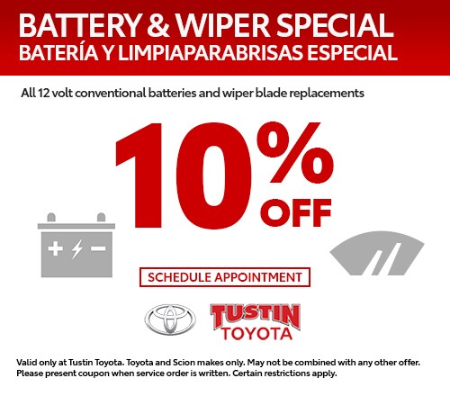 tt-service-battery-wiper-special-500x450.jpg