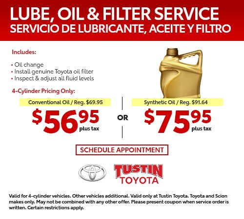 tt-service-battery-lube-oil-filter-service-500x450.jpg