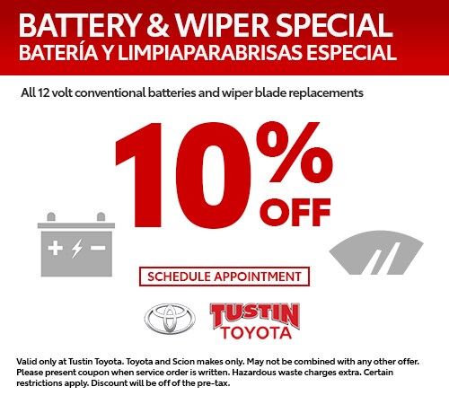 tt-service-battery-wiper-special-500x450.jpg