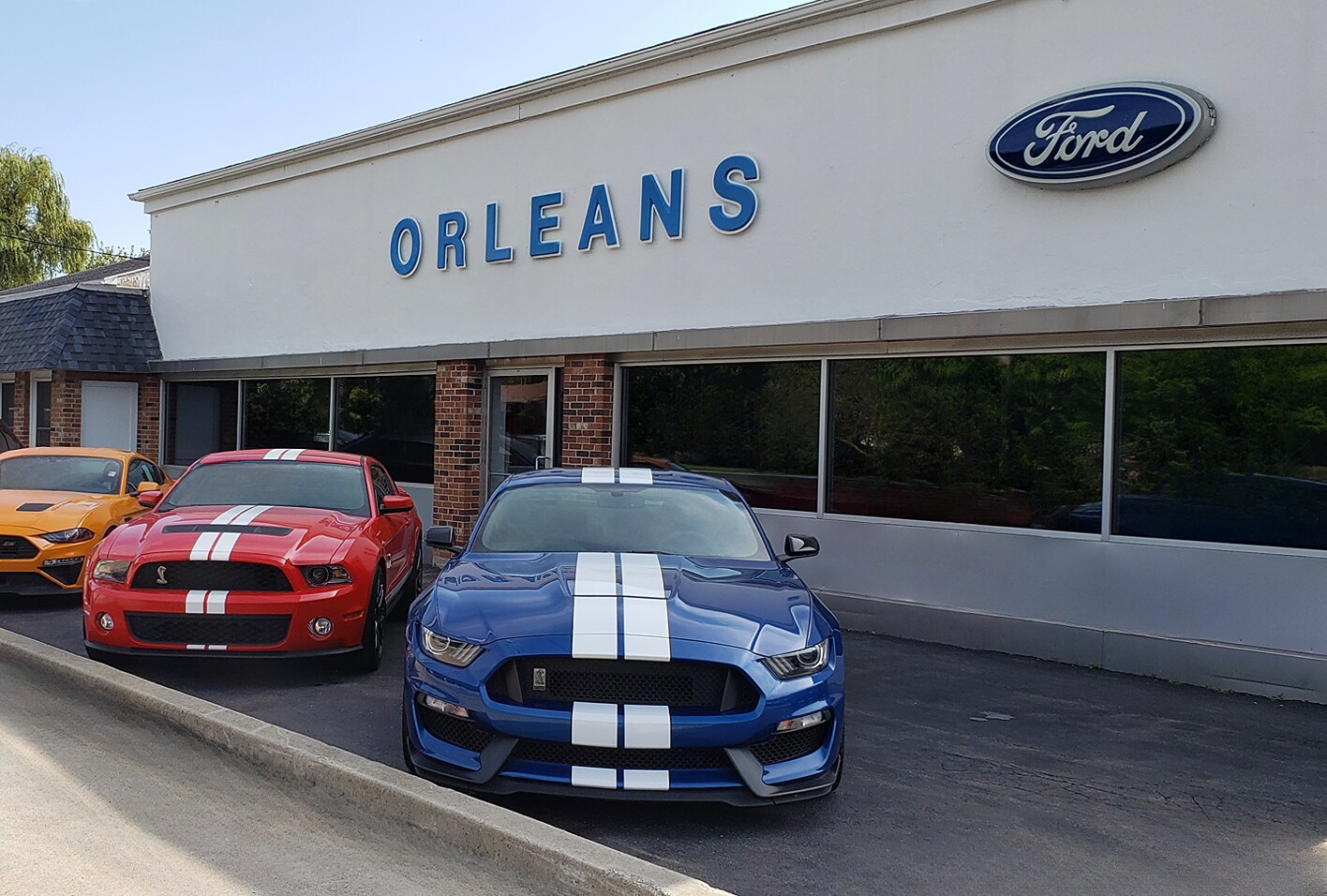 ford-dealer-near-albion-ny-orleans-ford-logo.png