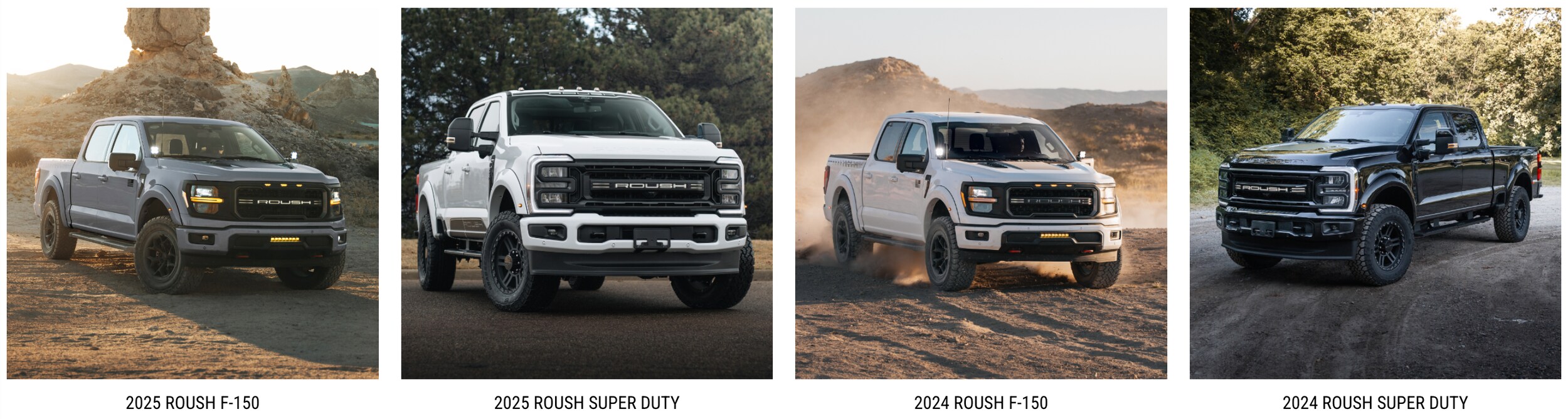 ford%20roush%20dealership%20vehicles-western%20new%20york%20medina.png
