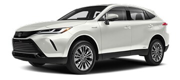 21venza.jpg