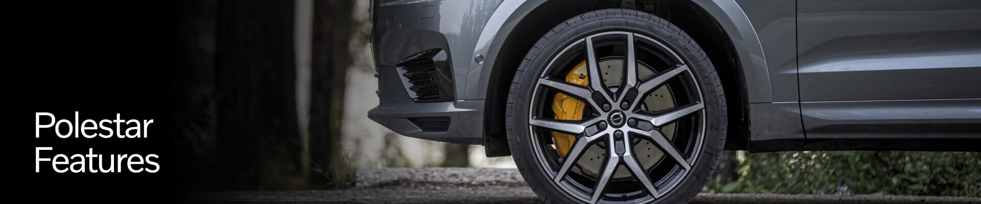 Volvo Polestar Features