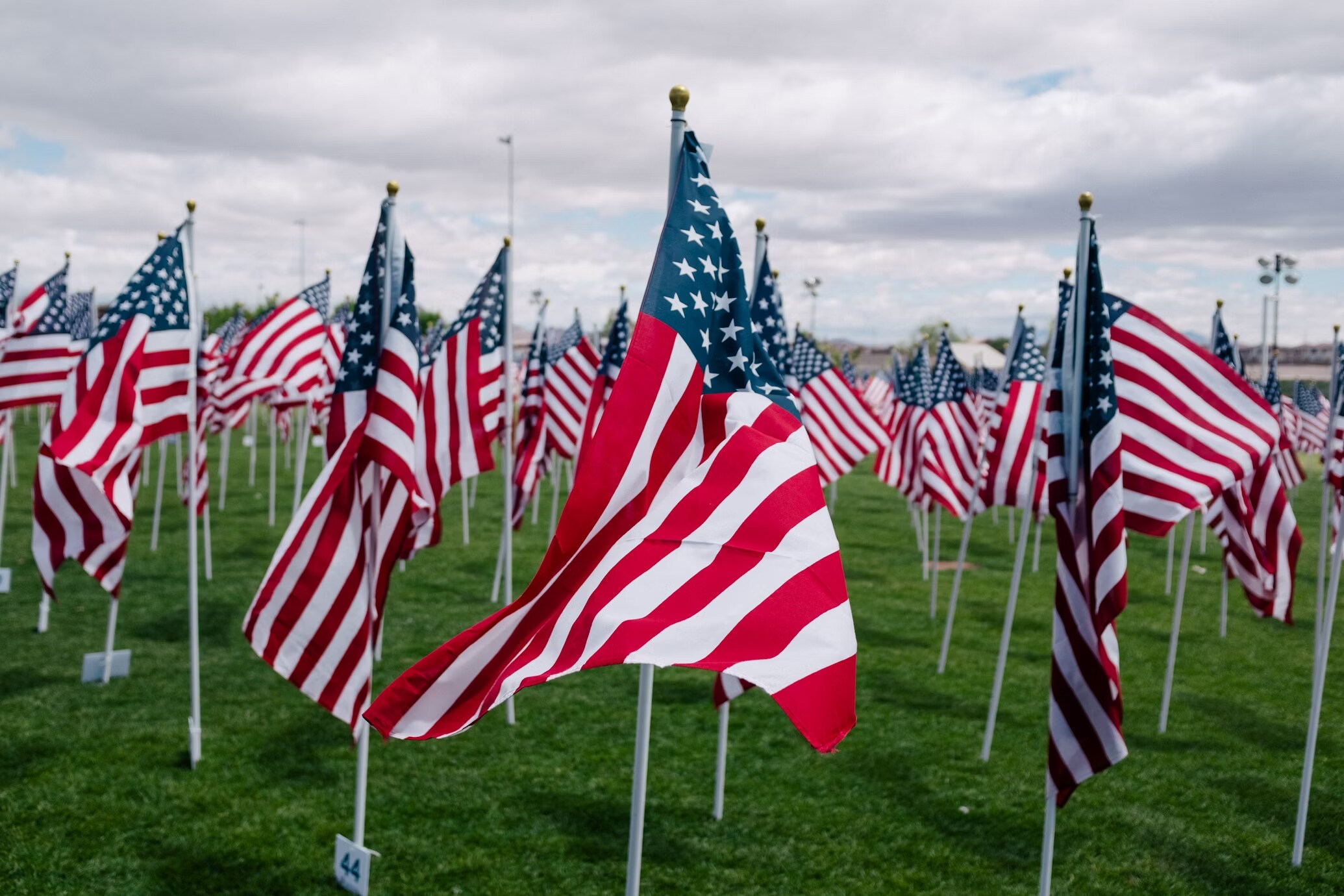 Flags in grass Flags in grass