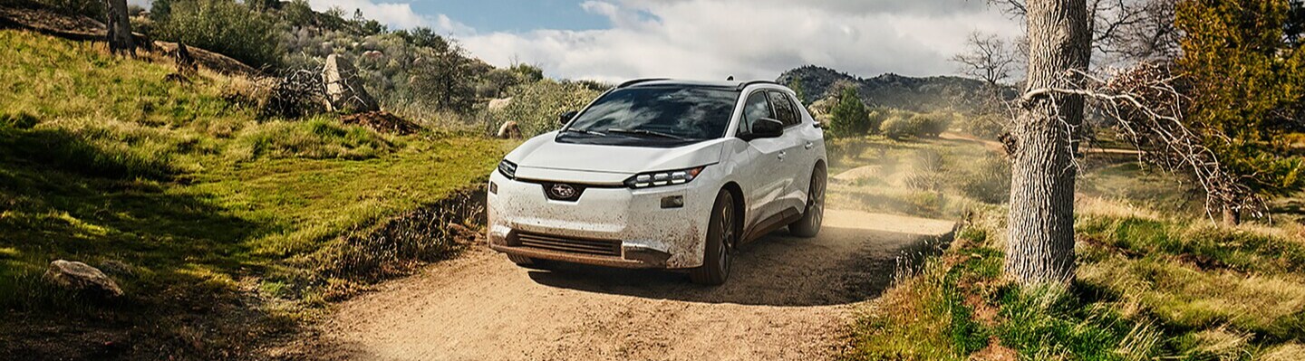 Electric Vehicle