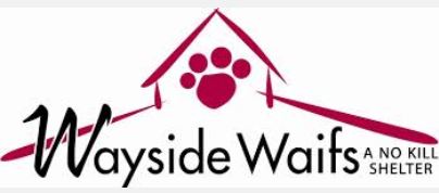 wayside waifs.JPG