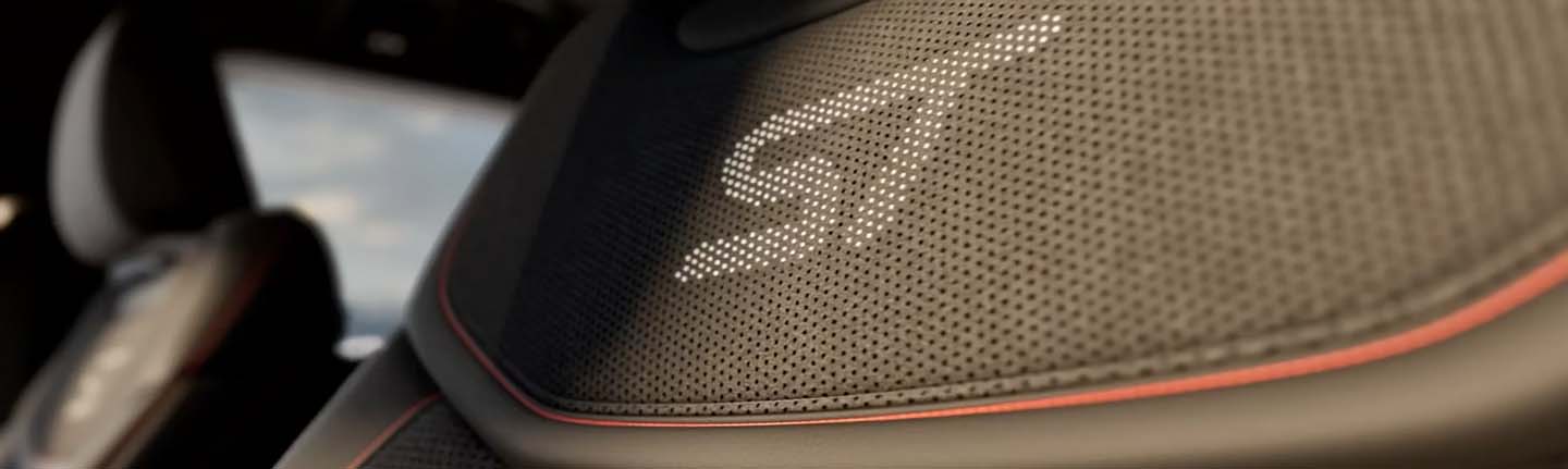 IMAGE-1