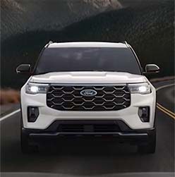 expressive grilles