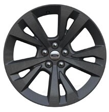 20 Carbonized