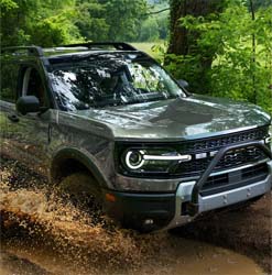 expressive grilles