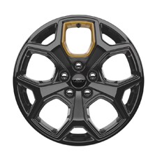 18 High Gloss Ebony Black-Painted Aluminum With Electric spice Accents